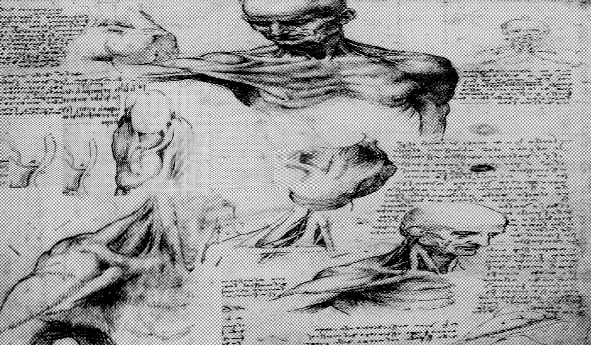 سکه‌ی ضرب‌شده‌ی فمینیسم