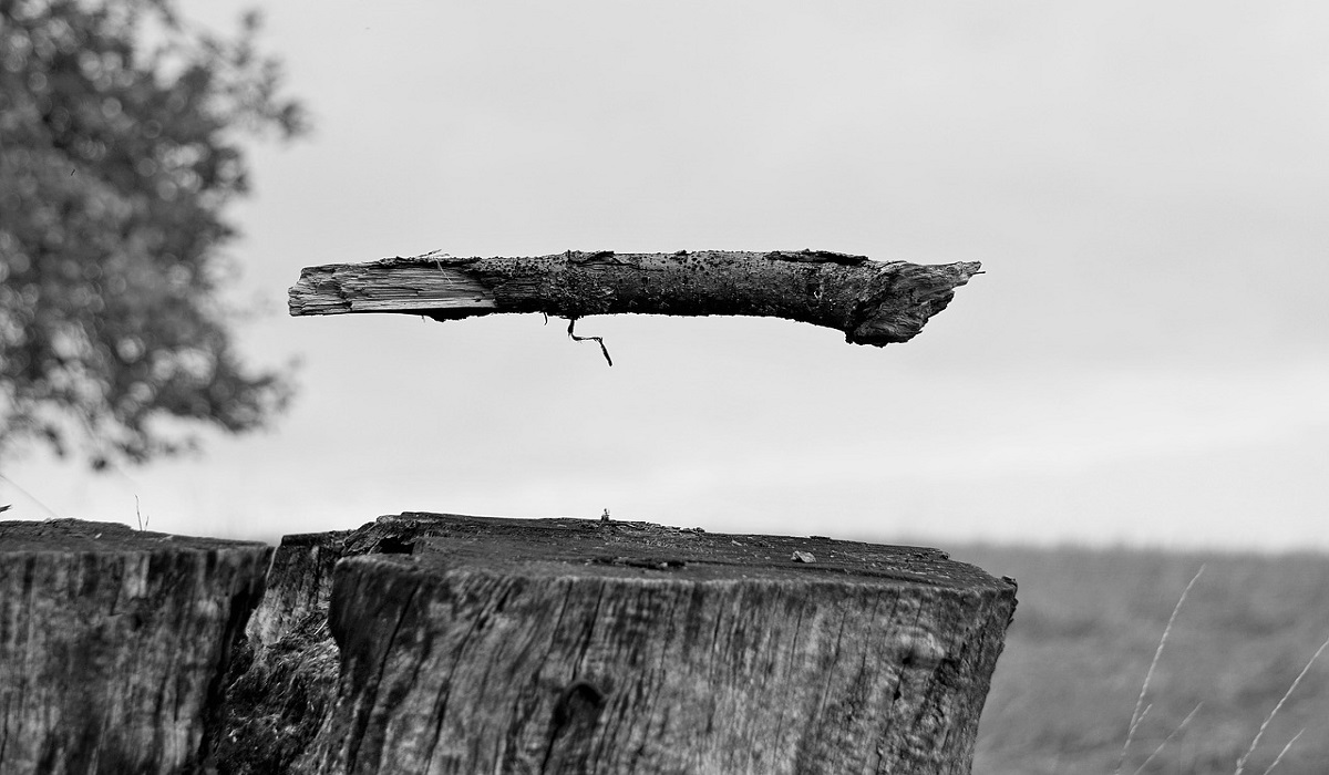 کار مجرد و سوسیالیسم