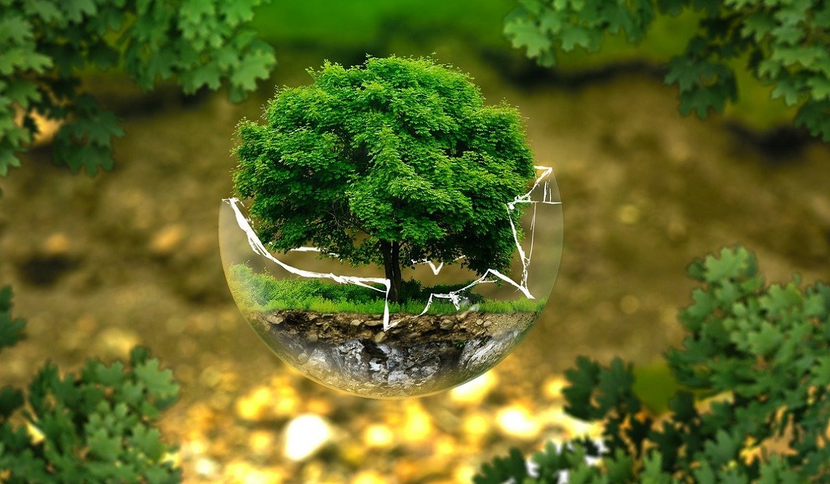 دفترهای مارکس و آغازگاه‌های زیست‌بوم‌شناسی مارکسیستی